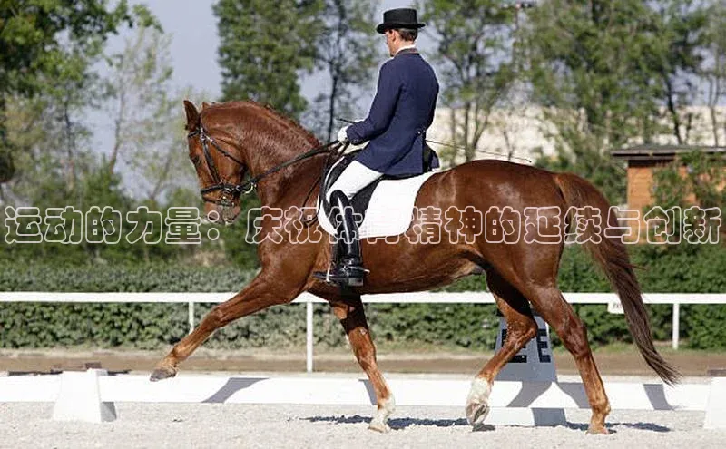 万向娱乐平台登录