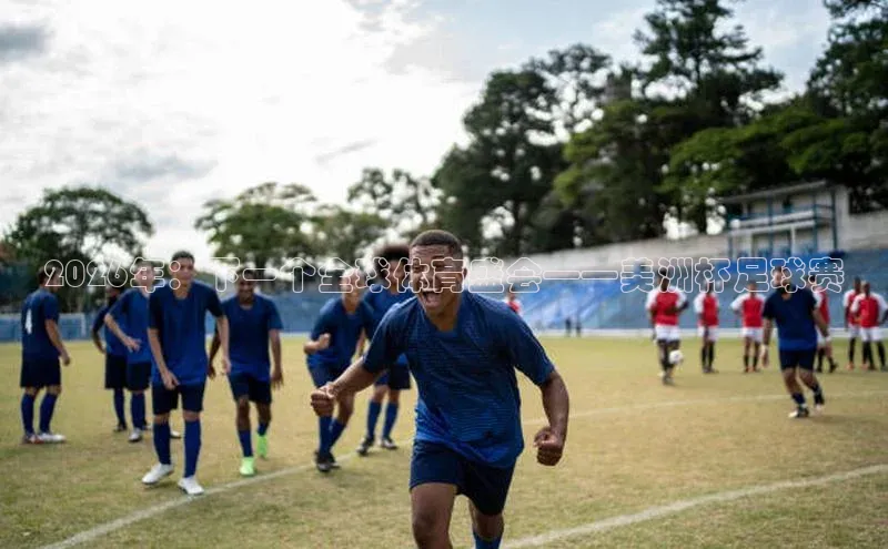 万向娱乐平台